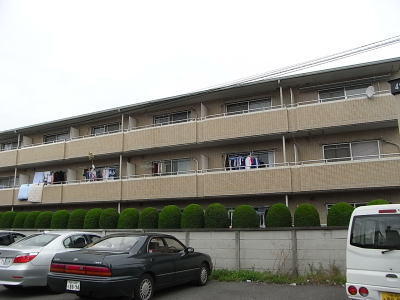 CnCc݂悵